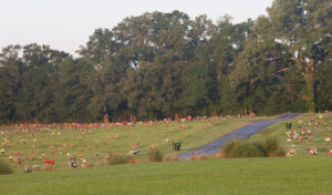 Garden Memorial Park Perpetual Care Cemetery