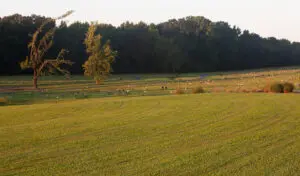 Garden Memorial Park Cemetery Spaces
