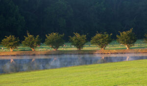 Garden Memorial Park Peaceful Cemetery
