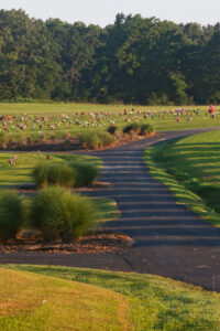 Garden Memorial Park Cemetery Spaces