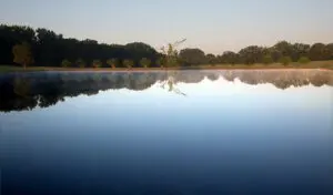 Lake at Garden Memorial Park